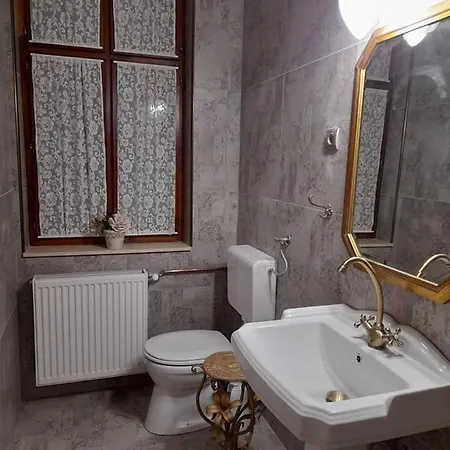 Locomotiv Vendeghaz בית הארחה Hercegszanto