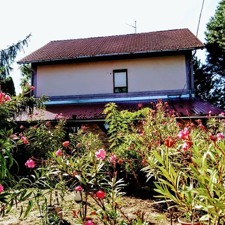 Locomotiv Vendeghaz Guest house